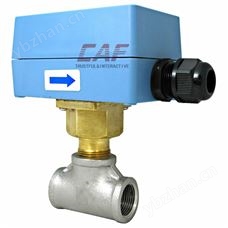 FS40RFS40R叶片式流量开关