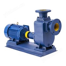 ZX65-25-50清水型自吸泵