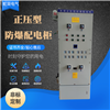 正壓型防爆配電柜分析儀通風(fēng)柜