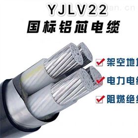 YJLV铝芯交联电力电缆YJLV22铝芯铠装电缆