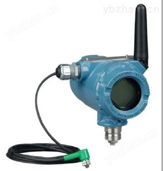 CSI9420无线振动变送器—CSI9420 质量流量计