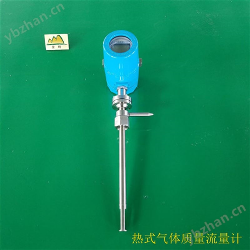 熱式氣體質(zhì)量流量計(jì)