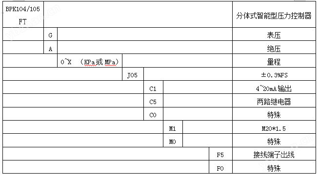 BPK104/105FT分体式智能压力控制器(图3)