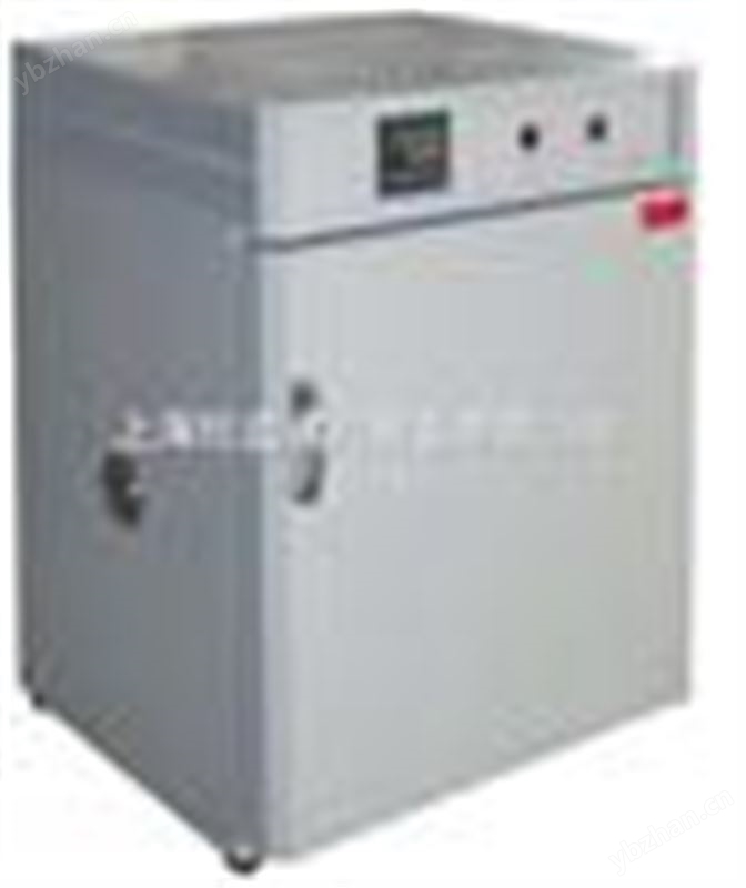 上海鼓风干燥箱