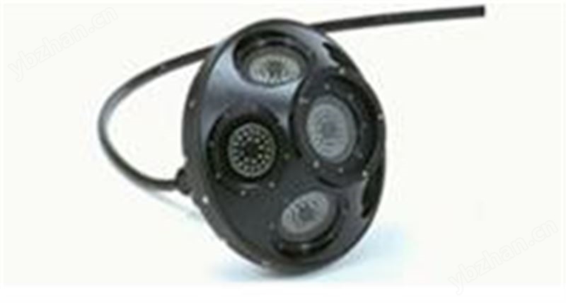 多角度水下视频相机 (C-220M)