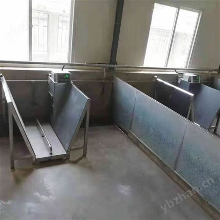 豬稱重系統